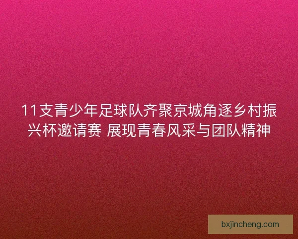 11支青少年足球队齐聚京城角逐乡村振兴杯邀请赛 展现青春风采与团队精神