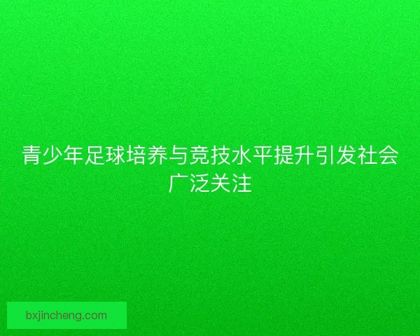 青少年足球培养与竞技水平提升引发社会广泛关注